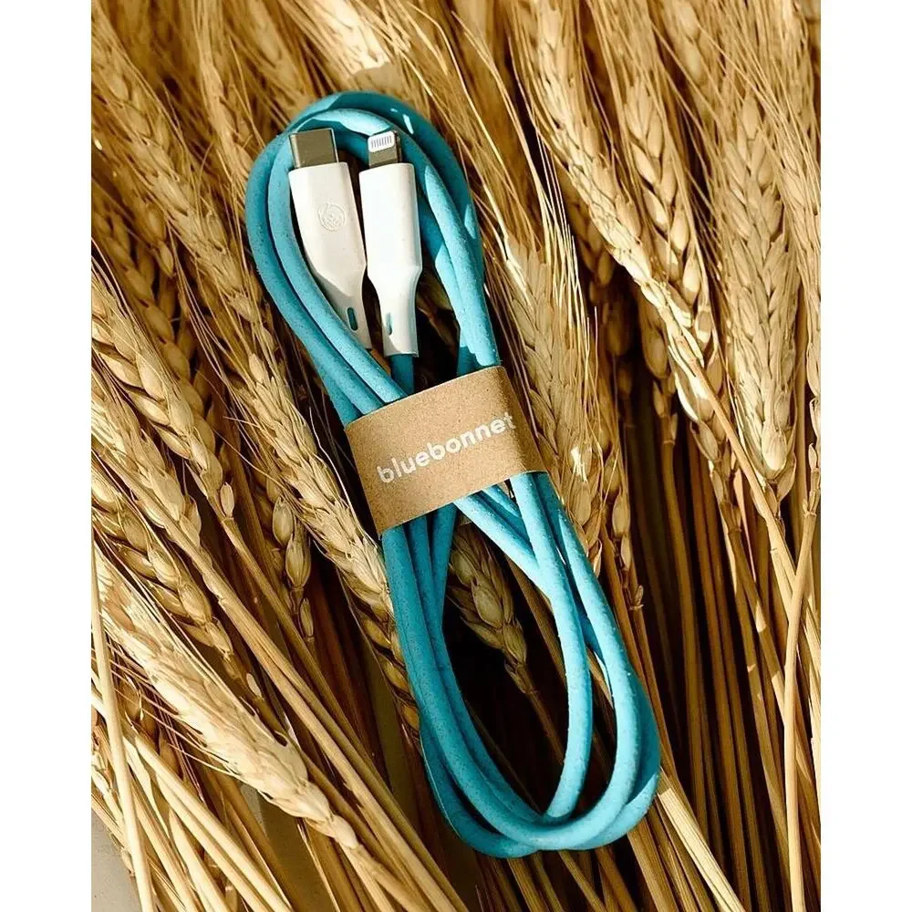 BlueBonnet The Companion USB-C 4FT iPhone Charging Cable